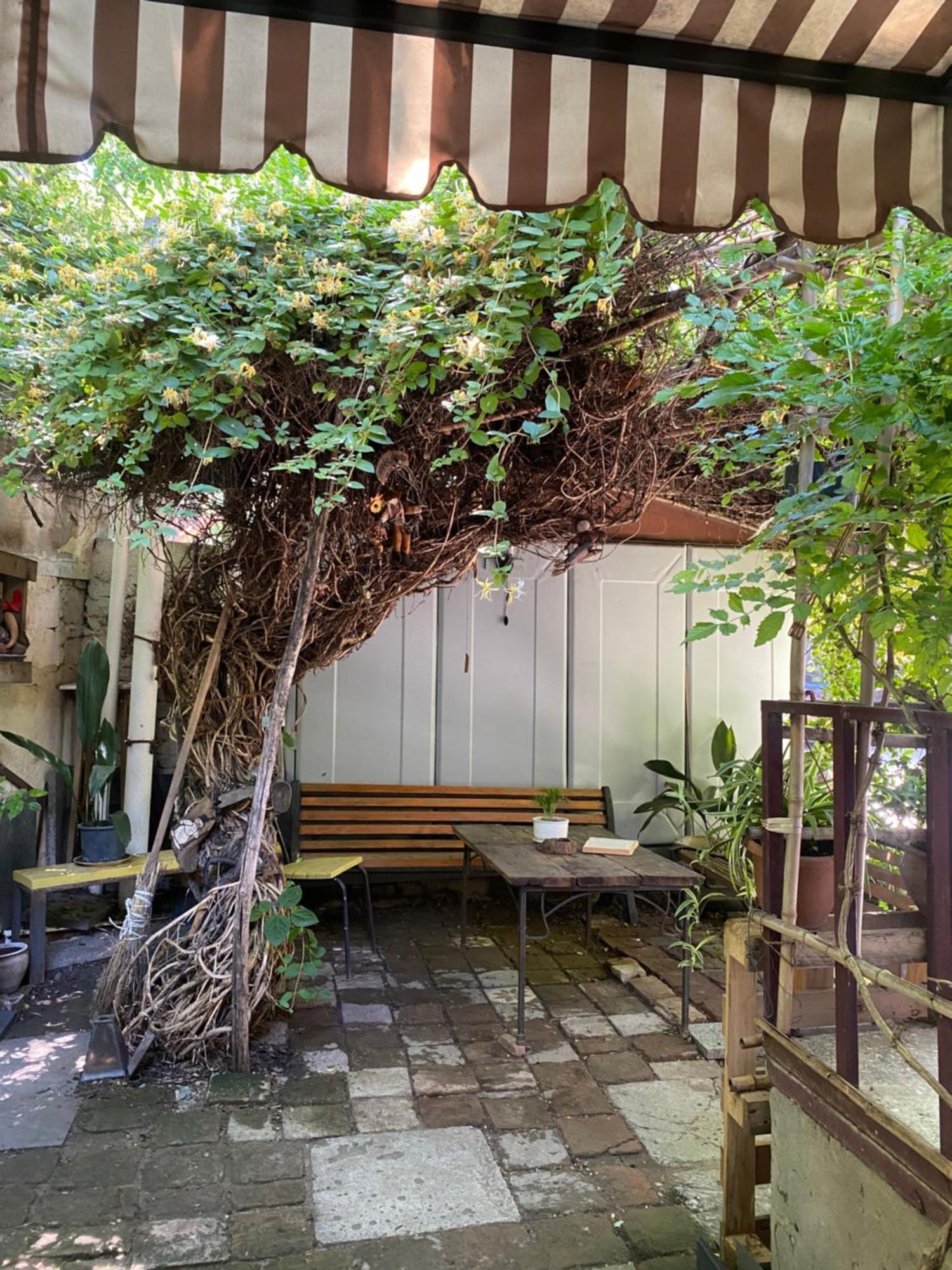 Cozy Zandukeli N15 - City Centre Tbilisi Exterior photo